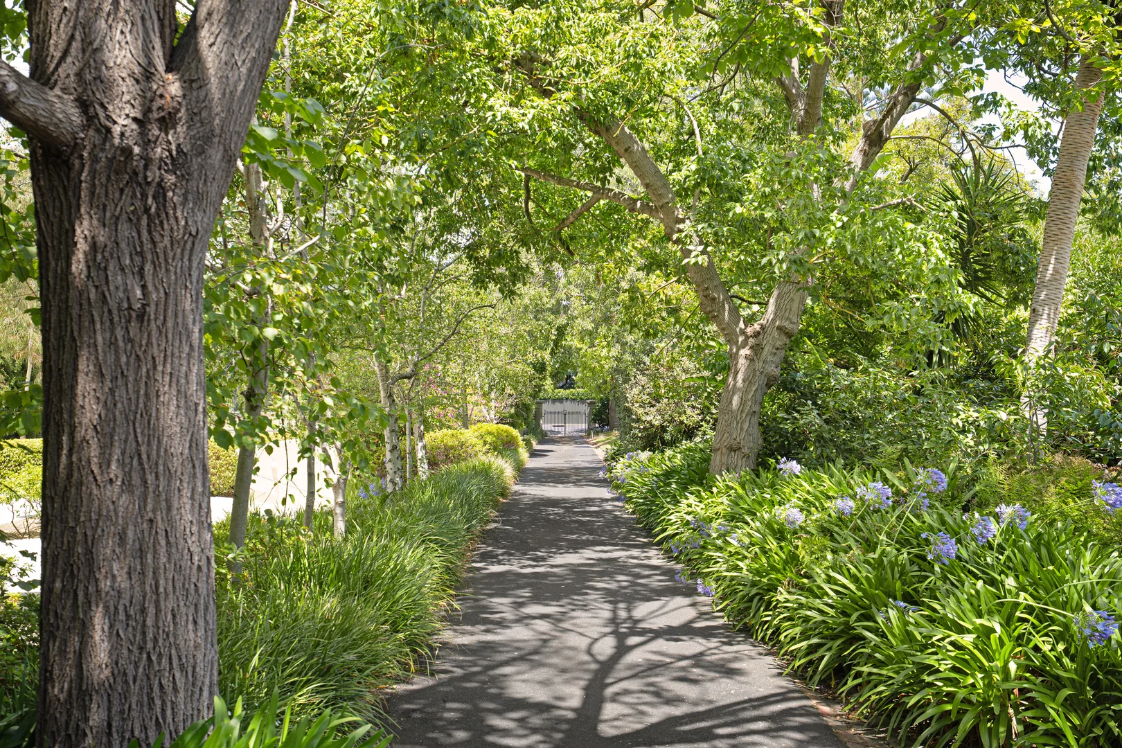 Additional image 17 of 7 Harcourt Street, Hawthorn East VIC 3123