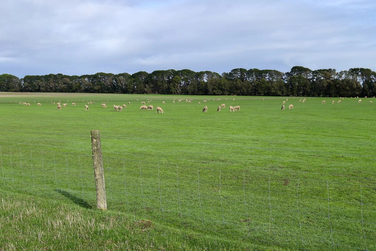 Additional image 22 of 394 Macarthur Myamyn Road, Macarthur VIC 3286