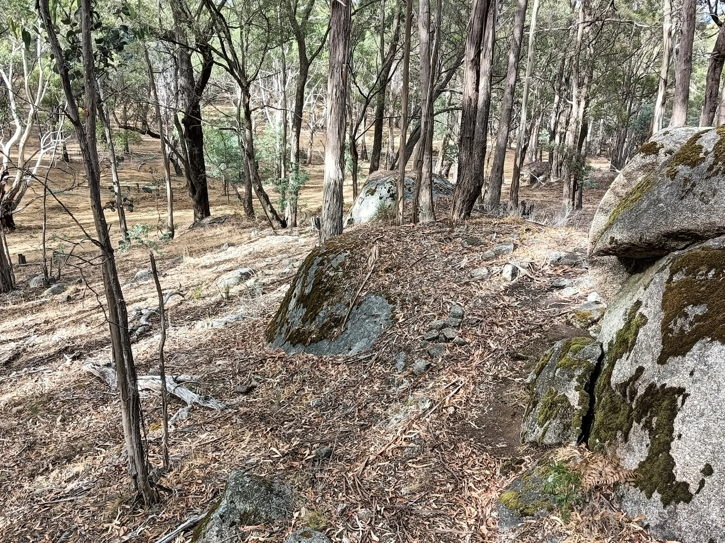 Additional image 27 of Strathbogie VIC 3666