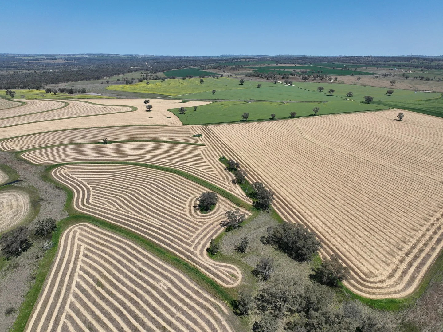 4436 Yetman Road, Graman NSW 2360