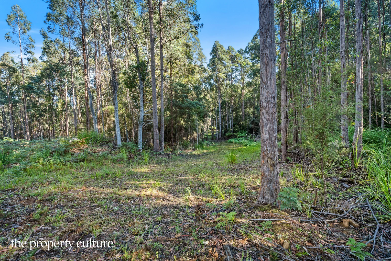 Additional image 7 of 2 Deering Street, Franklin TAS 7113