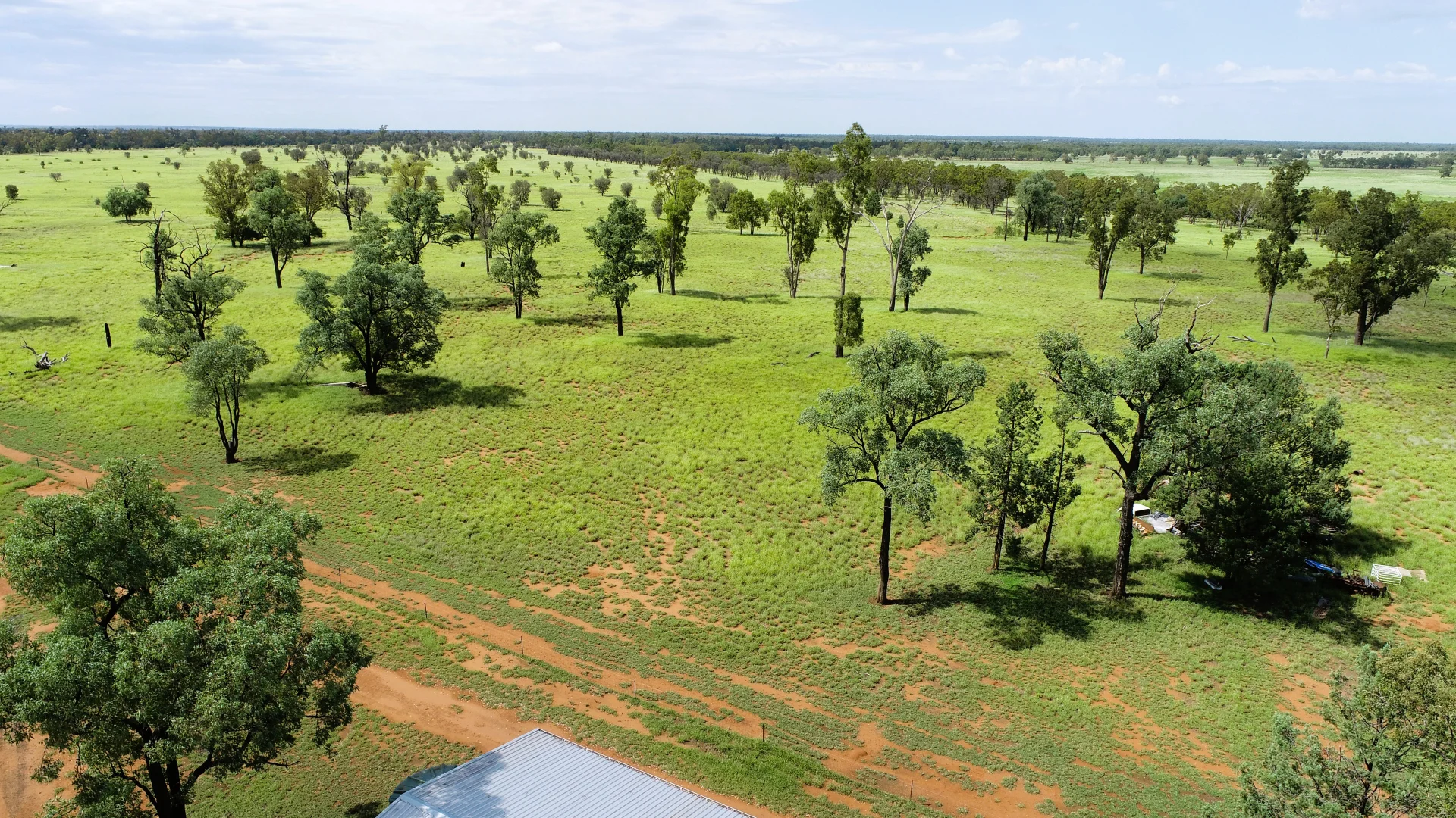 Additional image 14 of 'Gundi' 19181 Carnarvon Highway Highway, Surat QLD 4417