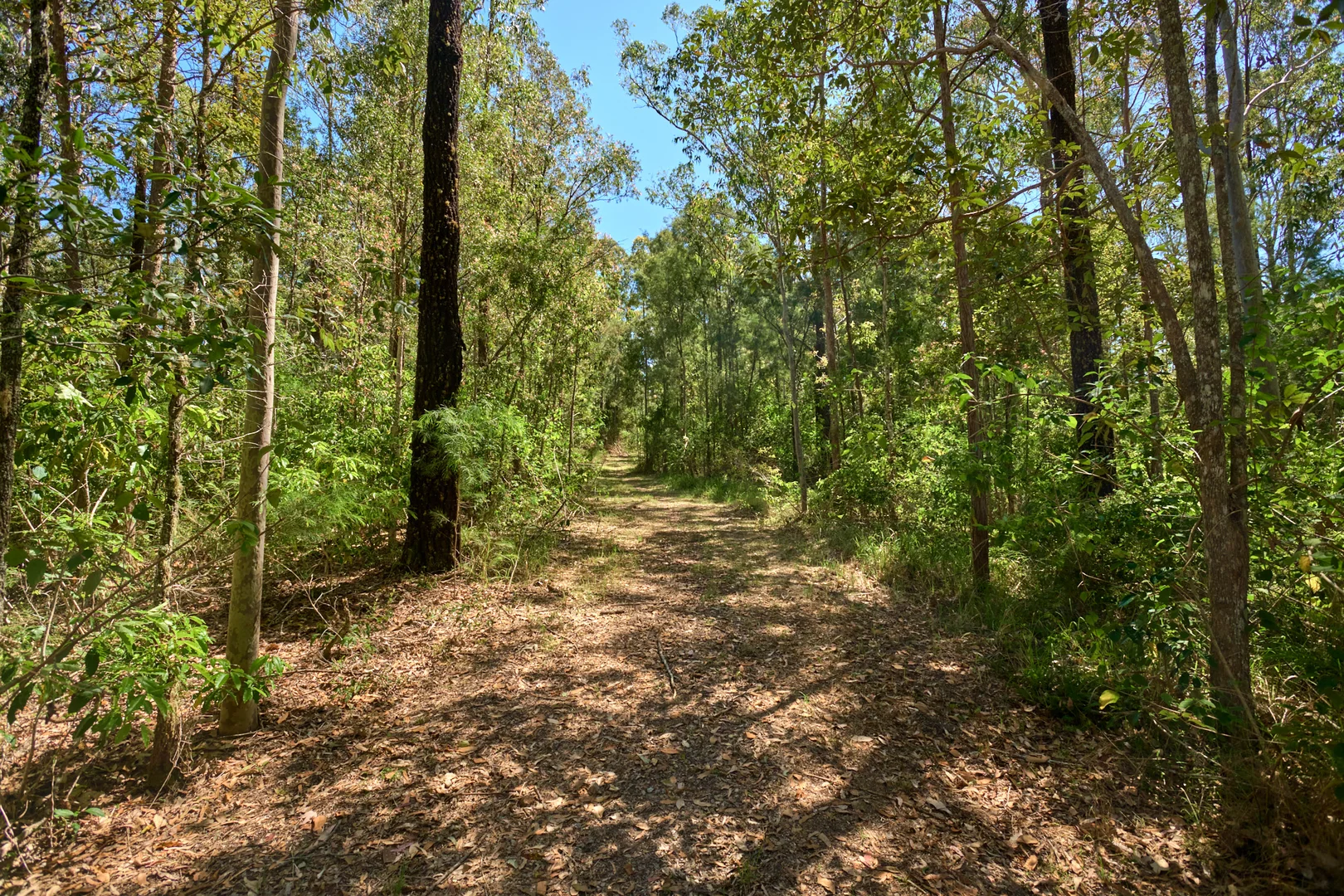 Additional image 32 of 898 Markwell Back Road, Markwell NSW 2423