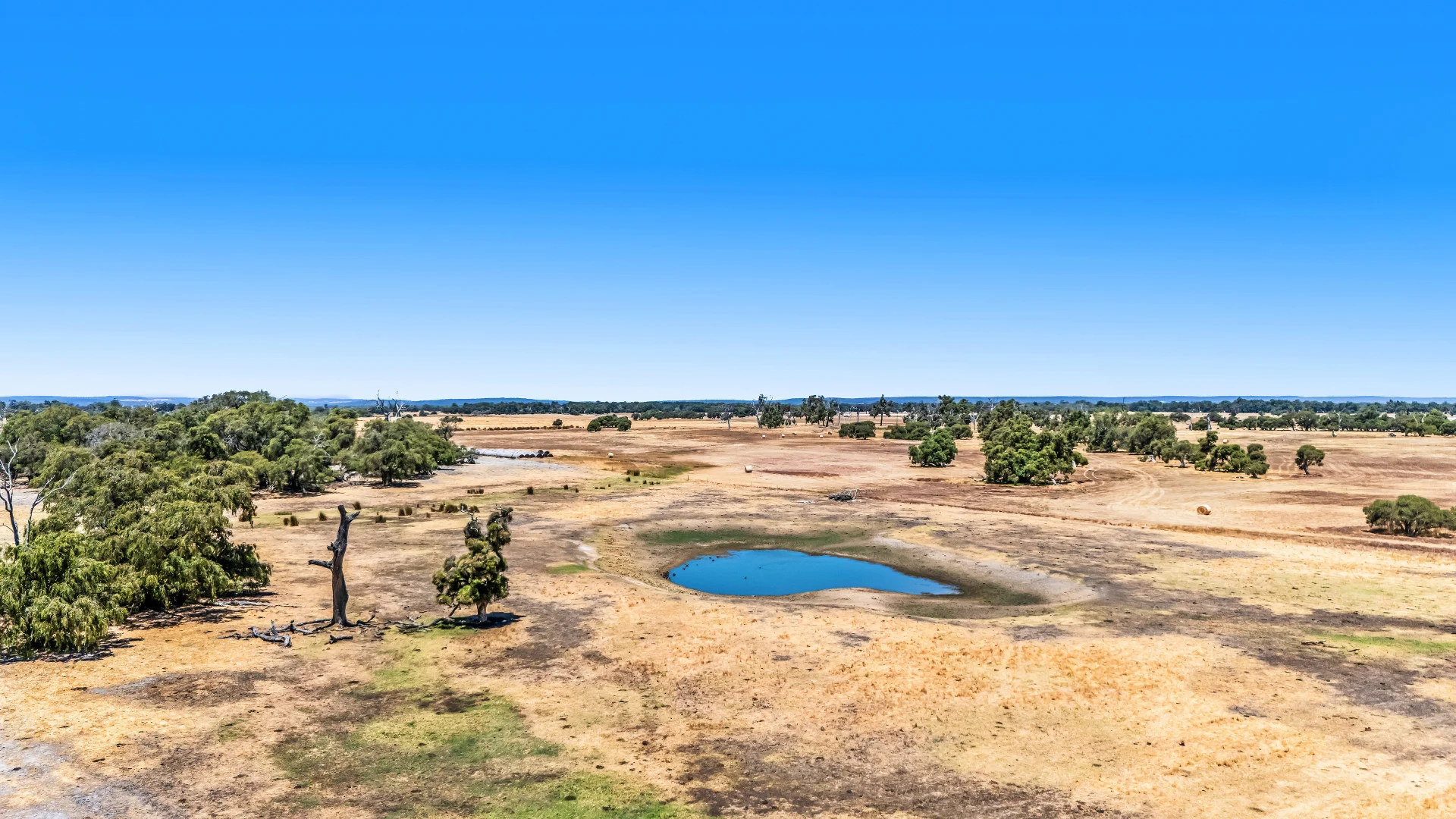 Additional image 19 of Lot 1 Jilley Road, Boyanup WA 6237