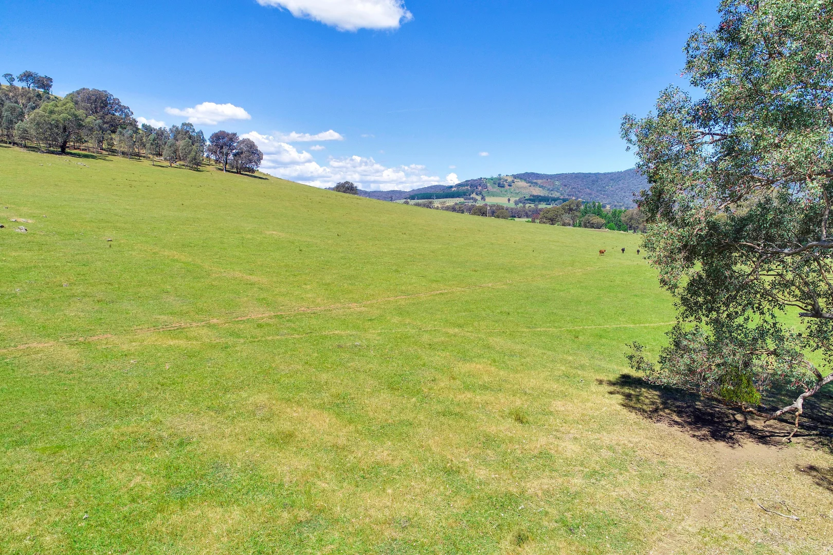 Additional image 9 of 2900 Samaria Road, Samaria VIC 3673