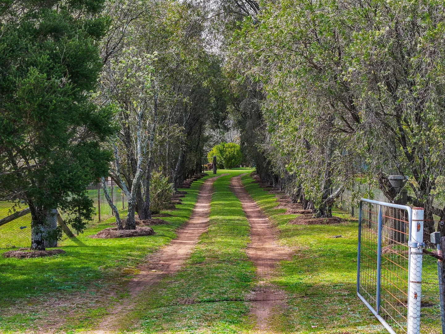 Additional image 20 of 83 Wanawong Street, Belimbla Park NSW 2570