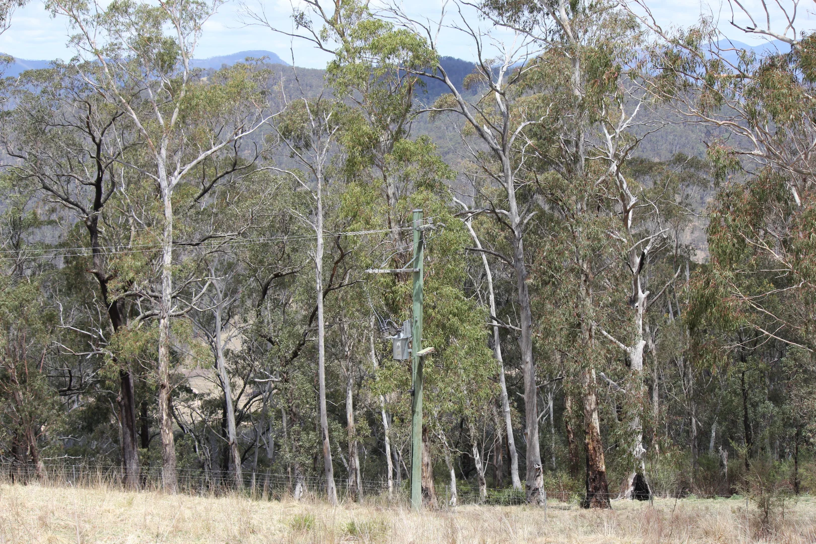 Additional image 14 of Lot 51 Glen Chee Road, Kanimbla NSW 2790