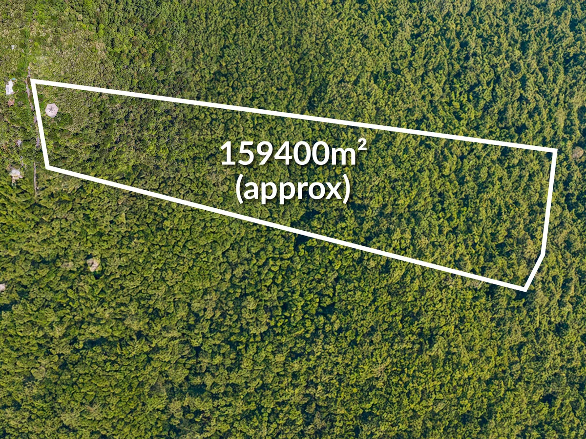 312 Repeater Station Road, Springbrook QLD 4213