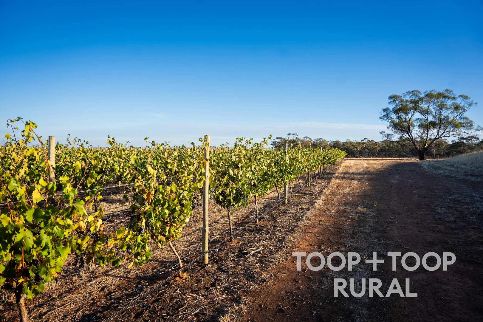 Additional image 22 of 1404 Research Road, Ebenezer SA 5355