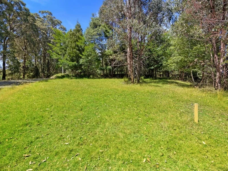 Additional image 12 of 22 Woods Point Road, Marysville VIC 3779