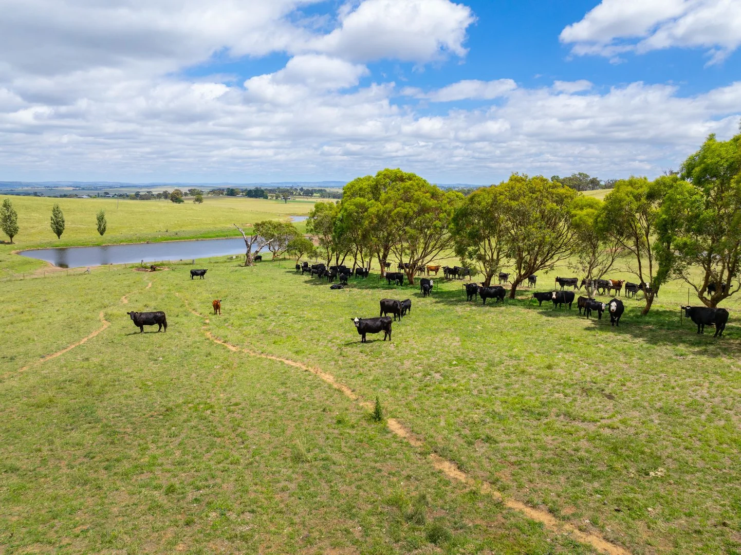 Additional image 40 of 188 Burkes Lane, Brewongle NSW 2795