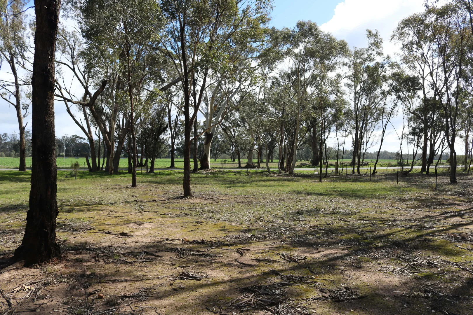 Additional image 5 of 300 Bridgewater-Dunolly Road, Arnold VIC 3551