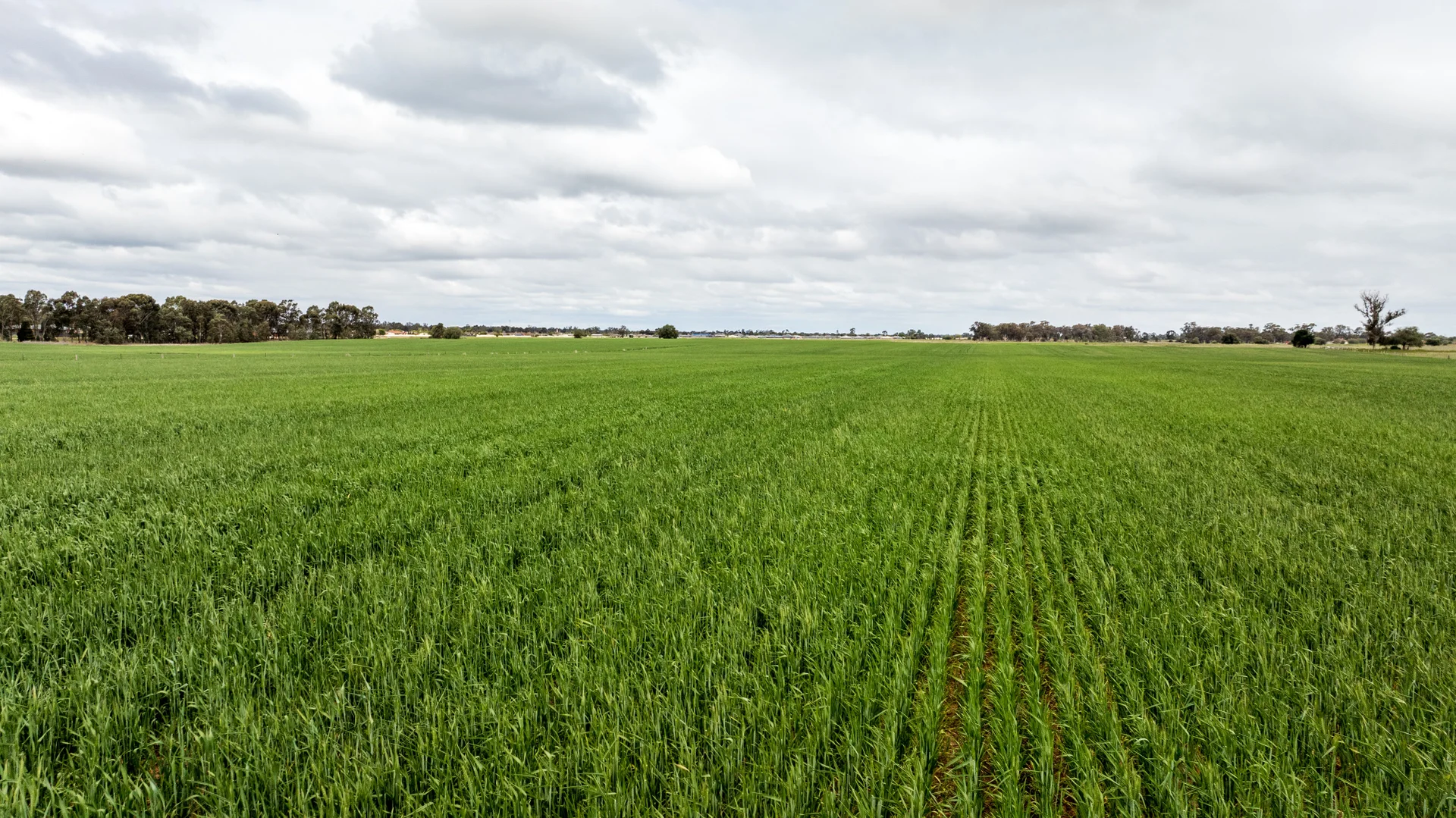 Additional image 6 of 145 MacIsaac Road, Mooroopna VIC 3629