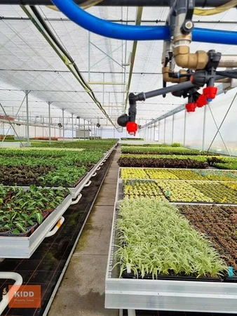 Additional image 4 of Peats Ridge NSW 2250