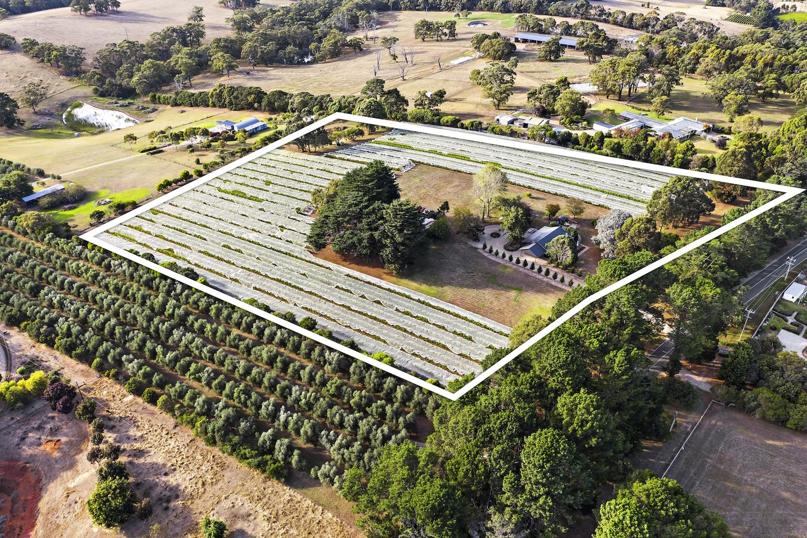 Additional image 18 of 255 Main Creek Road, Main Ridge VIC 3928