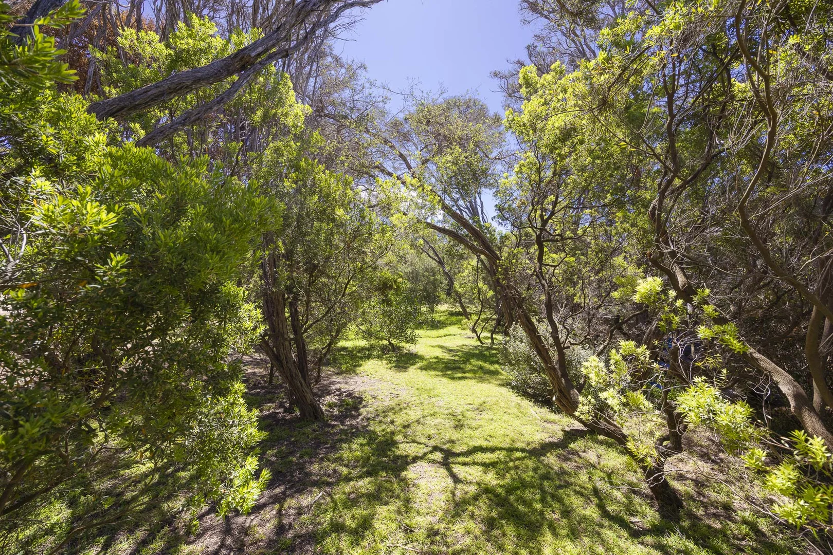 Additional image 17 of 35 and 39 Munro Street, Blairgowrie VIC 3942