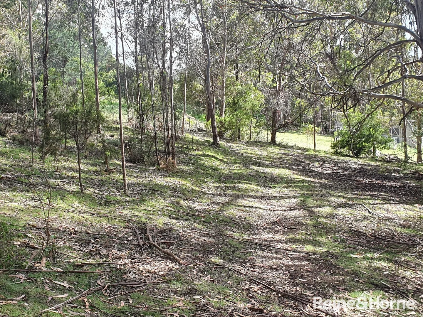 Additional image 6 of 16 & 20 Russell Street, Gordon TAS 7150