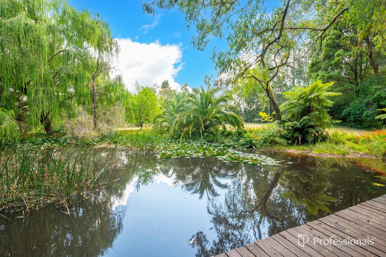 Additional image 26 of 320 Tarrango Road, Yarra Junction VIC 3797