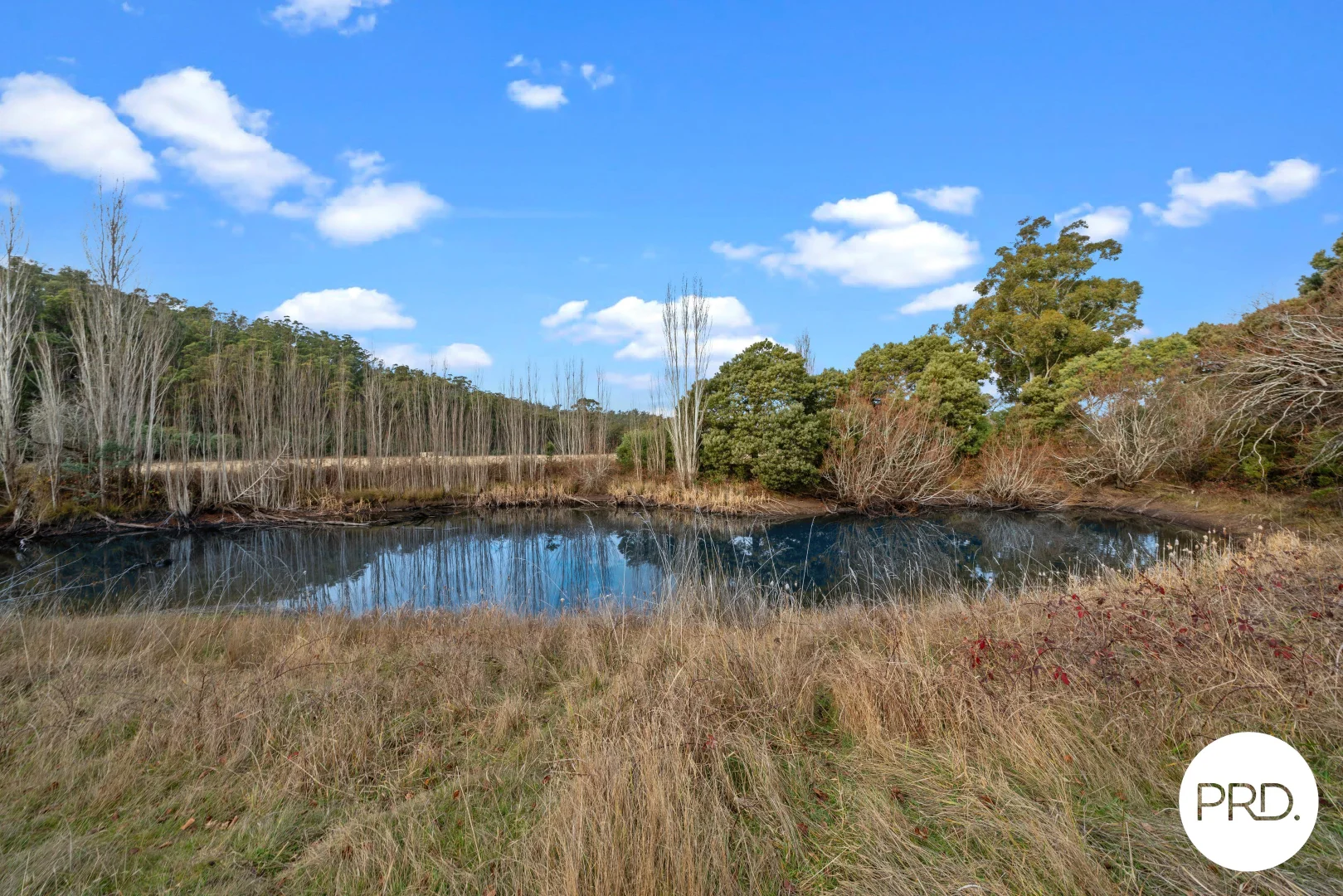 Additional image 17 of 240 Ellendale Road, Fentonbury TAS 7140