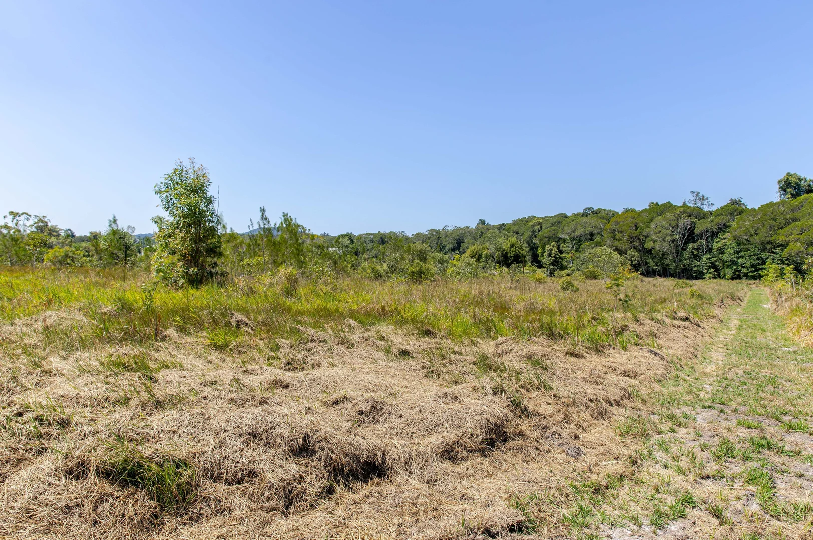 Additional image 19 of Lot 93/96 Mary Jane Drive, Julatten QLD 4871