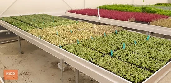 Additional image 15 of Peats Ridge NSW 2250