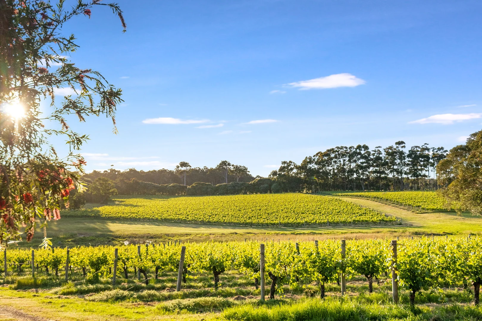 Additional image 28 of Blackwattle and Russell Road, West Cape Howe, Hay Shed Hill and wineries, Frankland River WA 6396