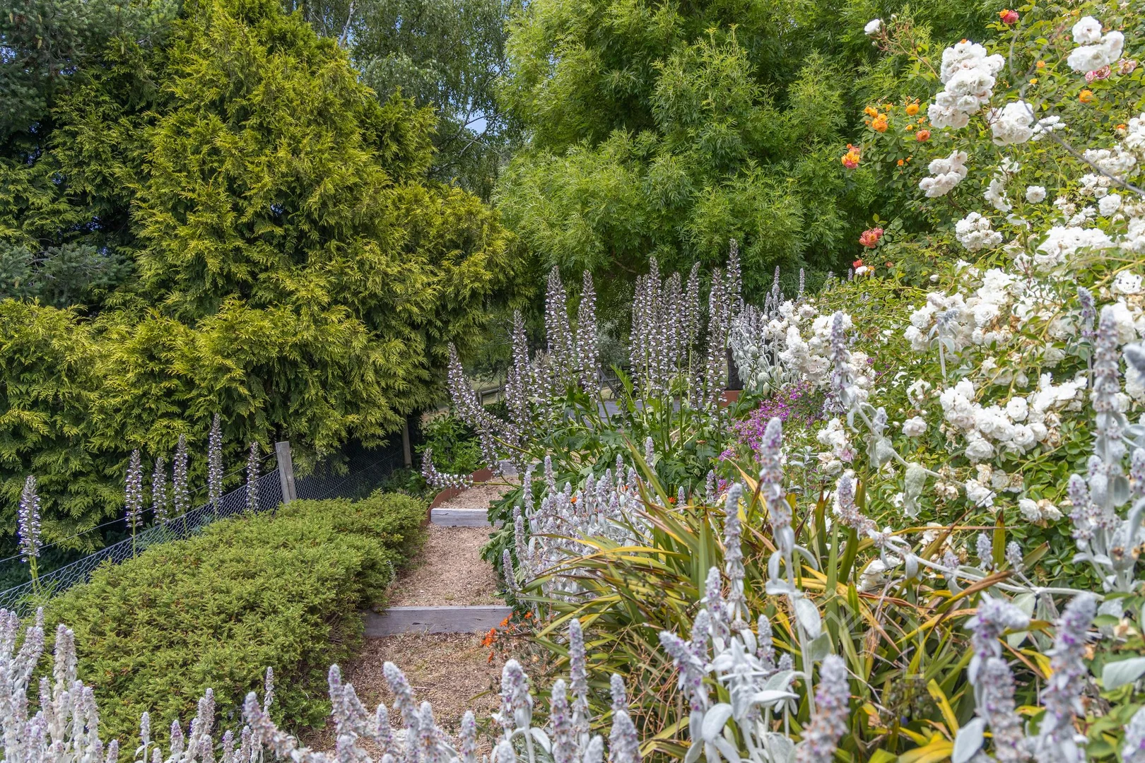 Additional image 18 of 15 Leggatt Street, Daylesford VIC 3460