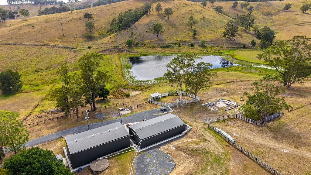 Additional image 49 of 857 Willina Road, Willina NSW 2423