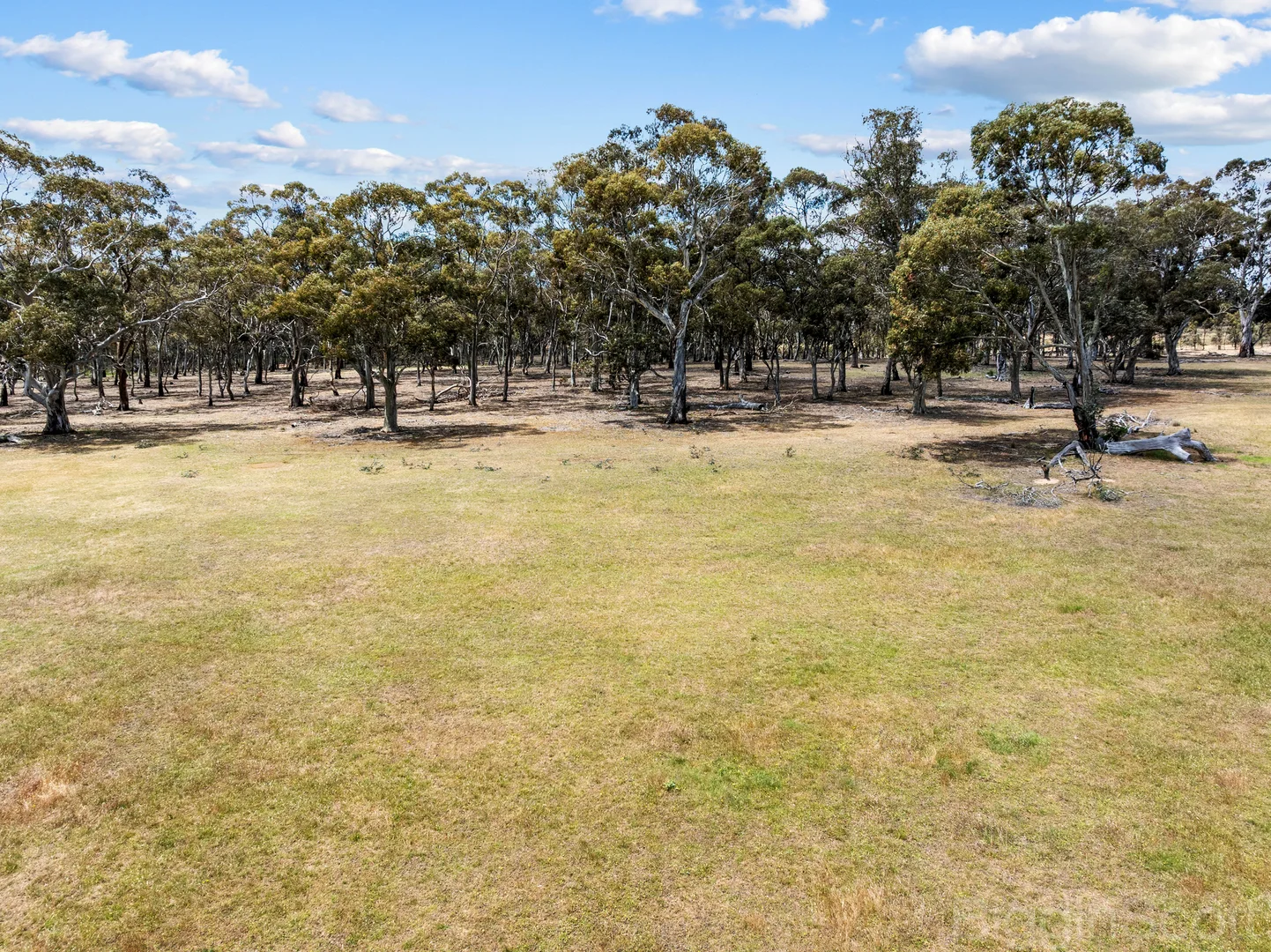Additional image 9 of 260 Deep Creek Road, Campbelltown VIC 3364