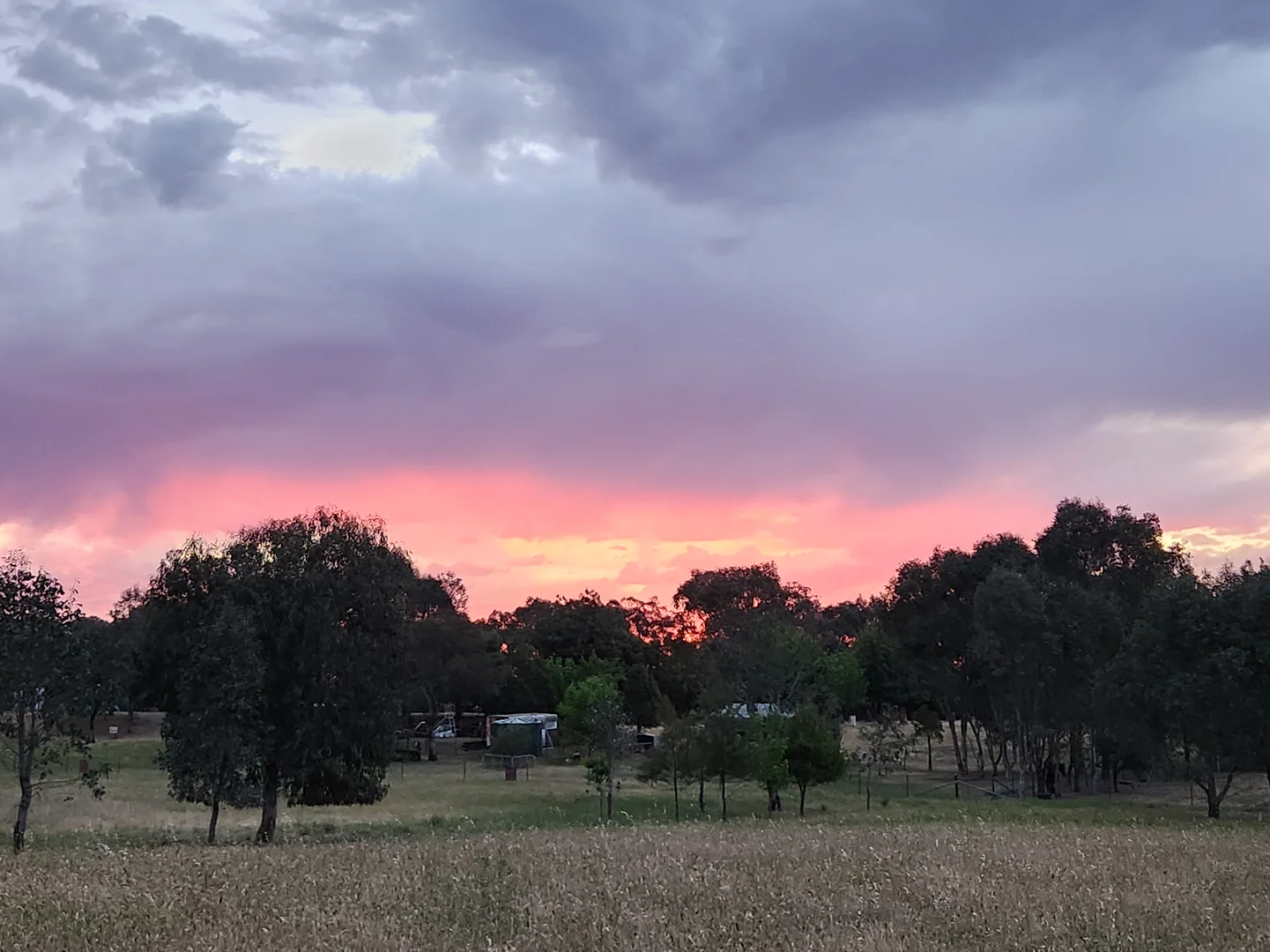 Additional image 11 of 225 Belmore Road, Young NSW 2594