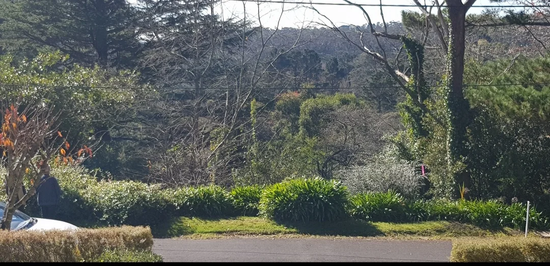 Additional image 2 of 15 Norwood Street, Leura NSW 2780