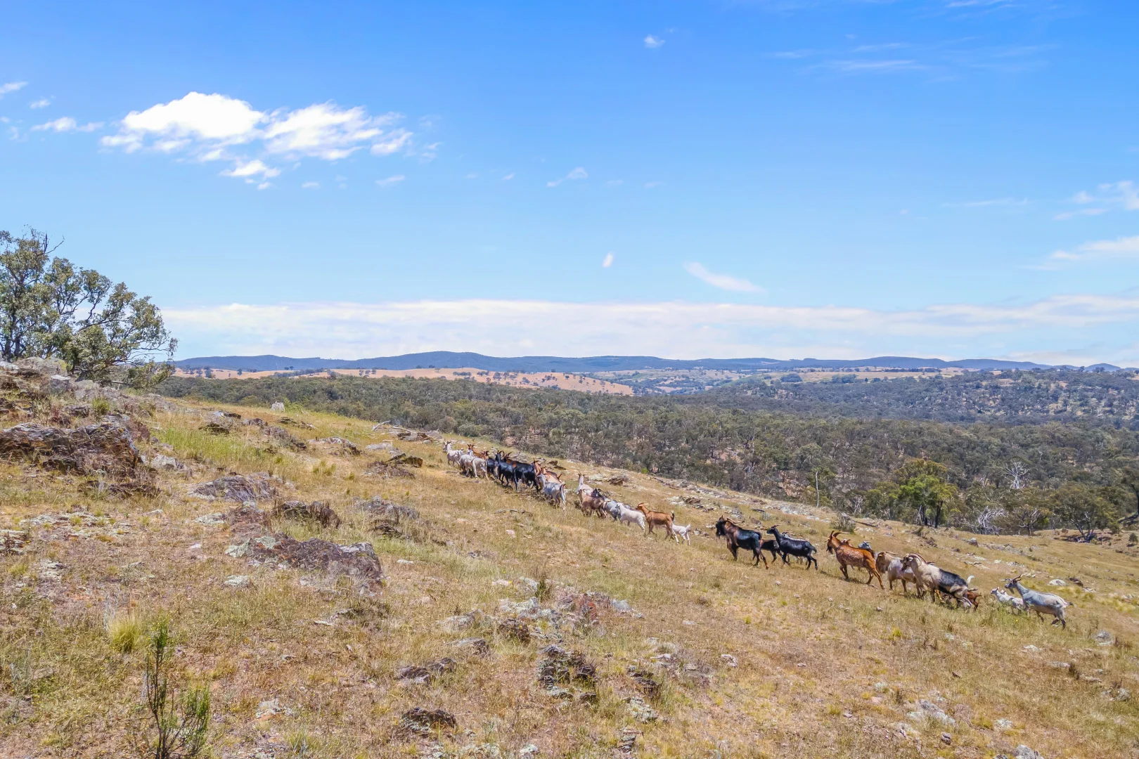 Additional image 14 of 1884 Lower Lewis Ponds Road, Ophir NSW 2800