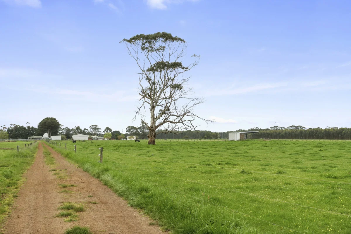 Additional image 22 of 101 Jancourt Forest Road, Carpendeit VIC 3260