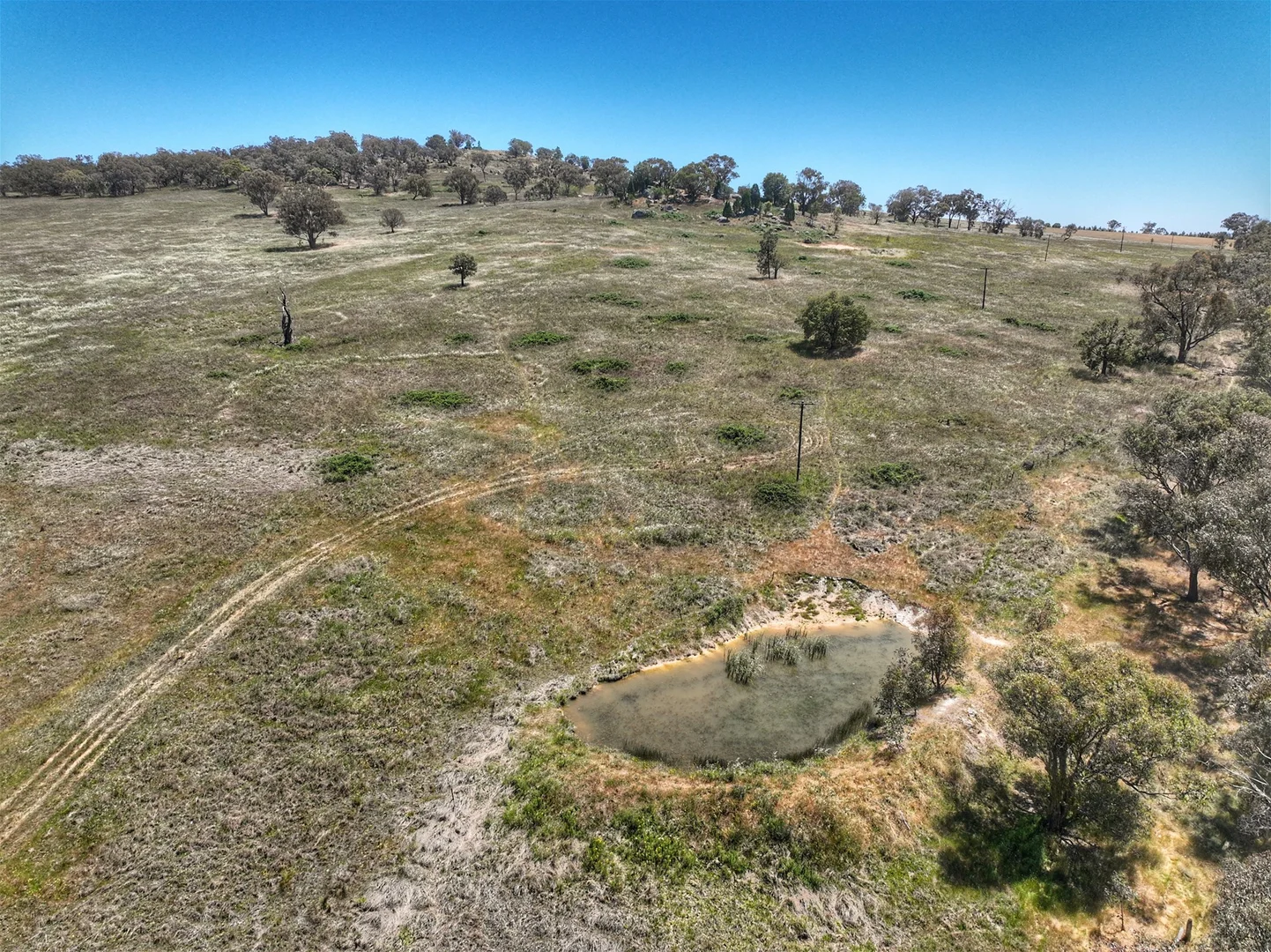 Additional image 7 of 1294 Pine Mount Road, Woodstock NSW 2793