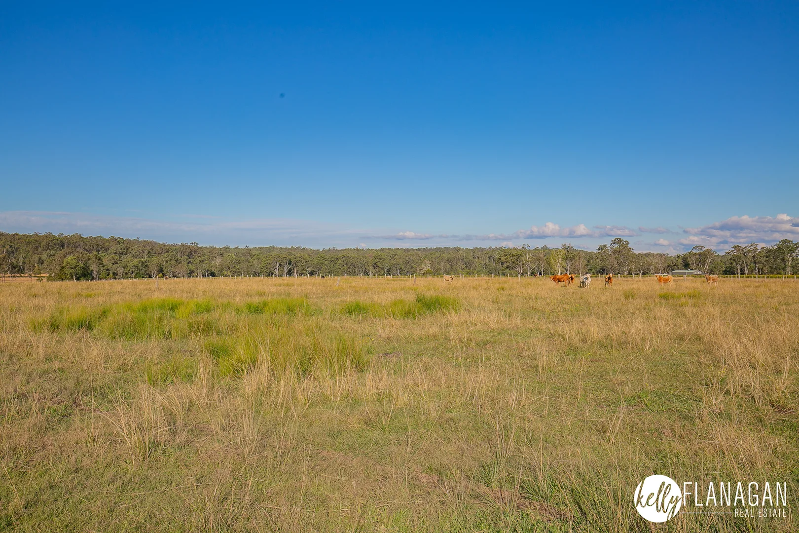 Additional image 15 of Lot 3 Armidale Road, Skillion Flat NSW 2440