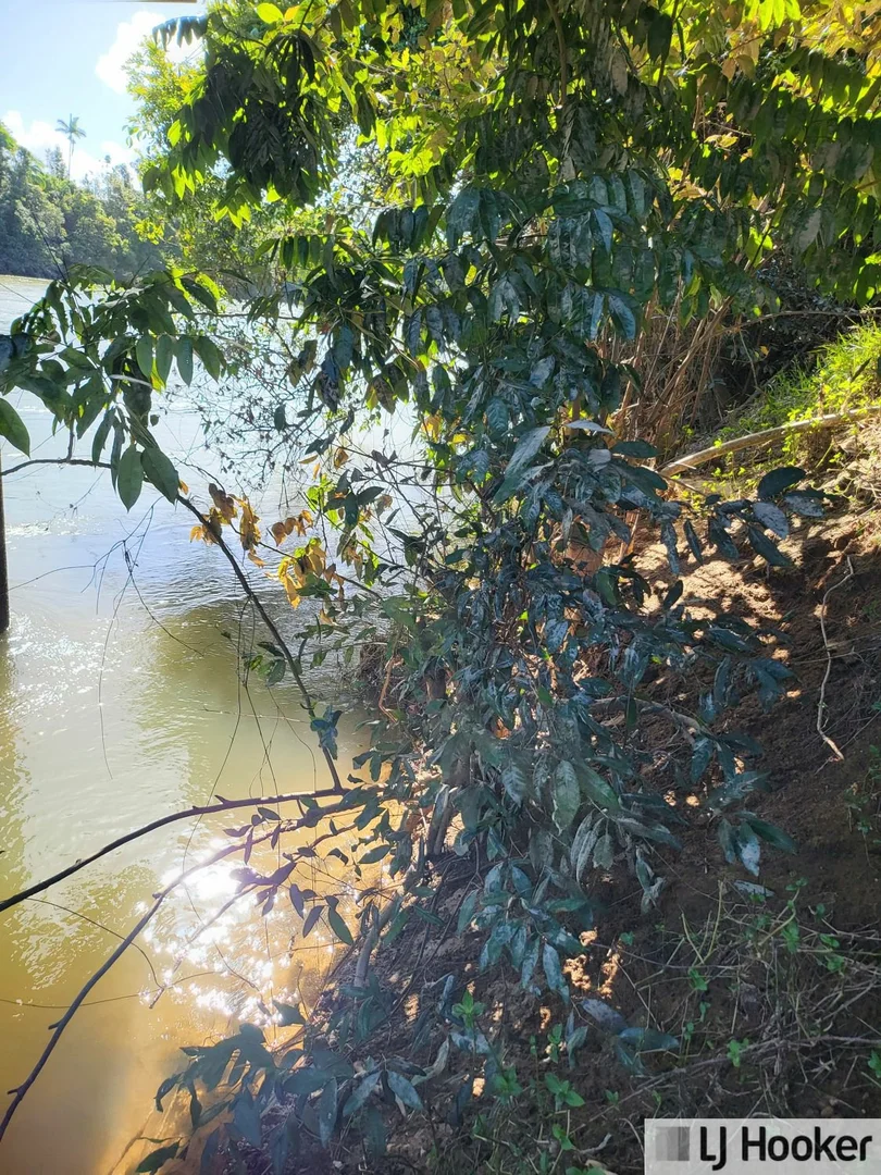 Additional image 3 of Lot 9 Andy Sorbello Road, Silky Oak QLD 4854