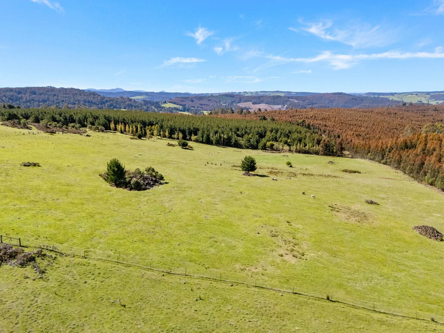 Additional image 34 of 38 Kop Road, Erriba TAS 7310