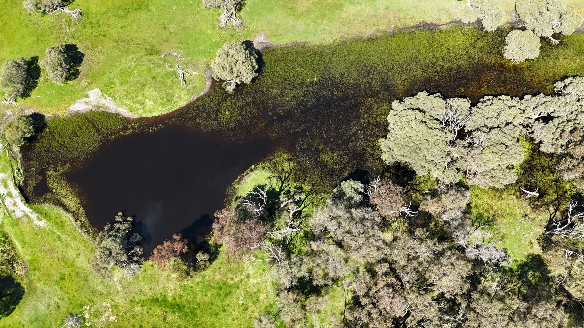 Additional image 11 of 39 Gibbs Road, Uduc WA 6220