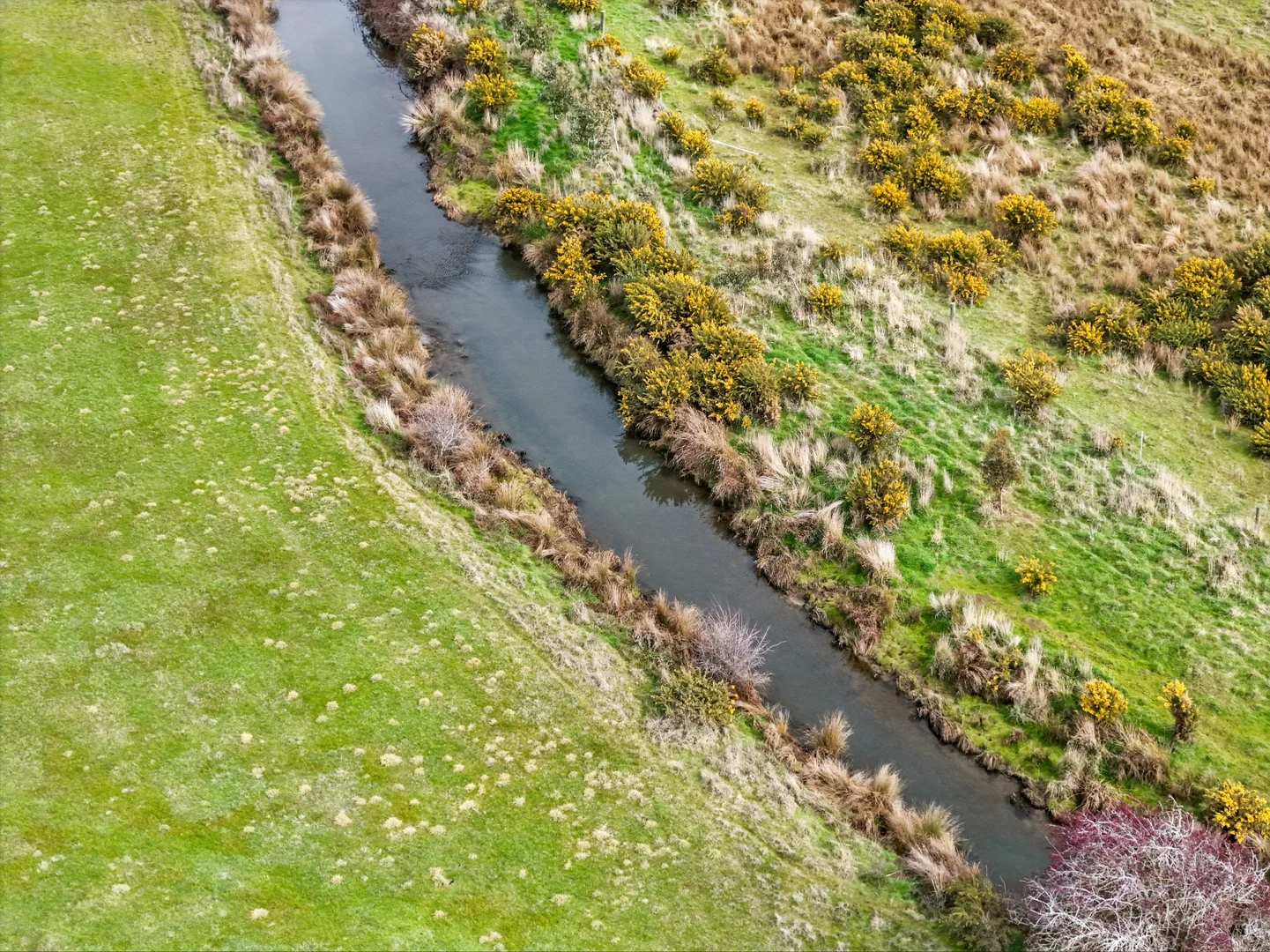 Additional image 6 of 26 Wilmores Lane, Longford TAS 7301