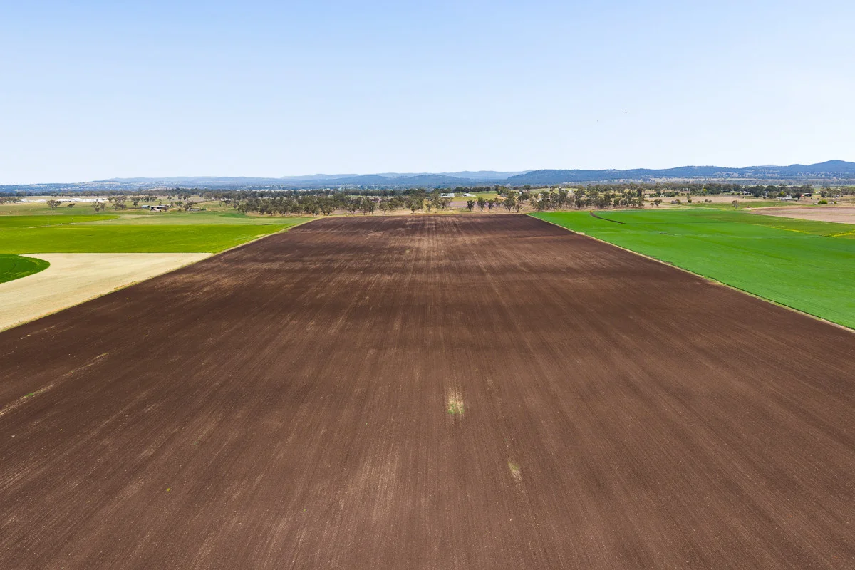 Additional image 5 of 240 Massie Bony Mountain Road, Massie QLD 4370