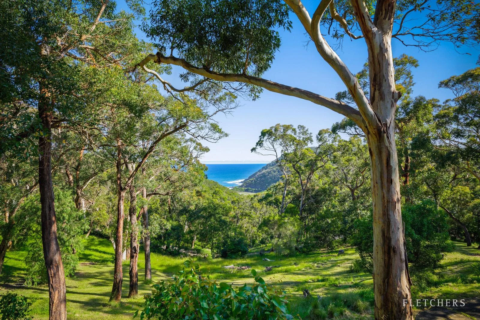 Additional image 6 of 46 & 48 Albert Street, Lorne VIC 3232