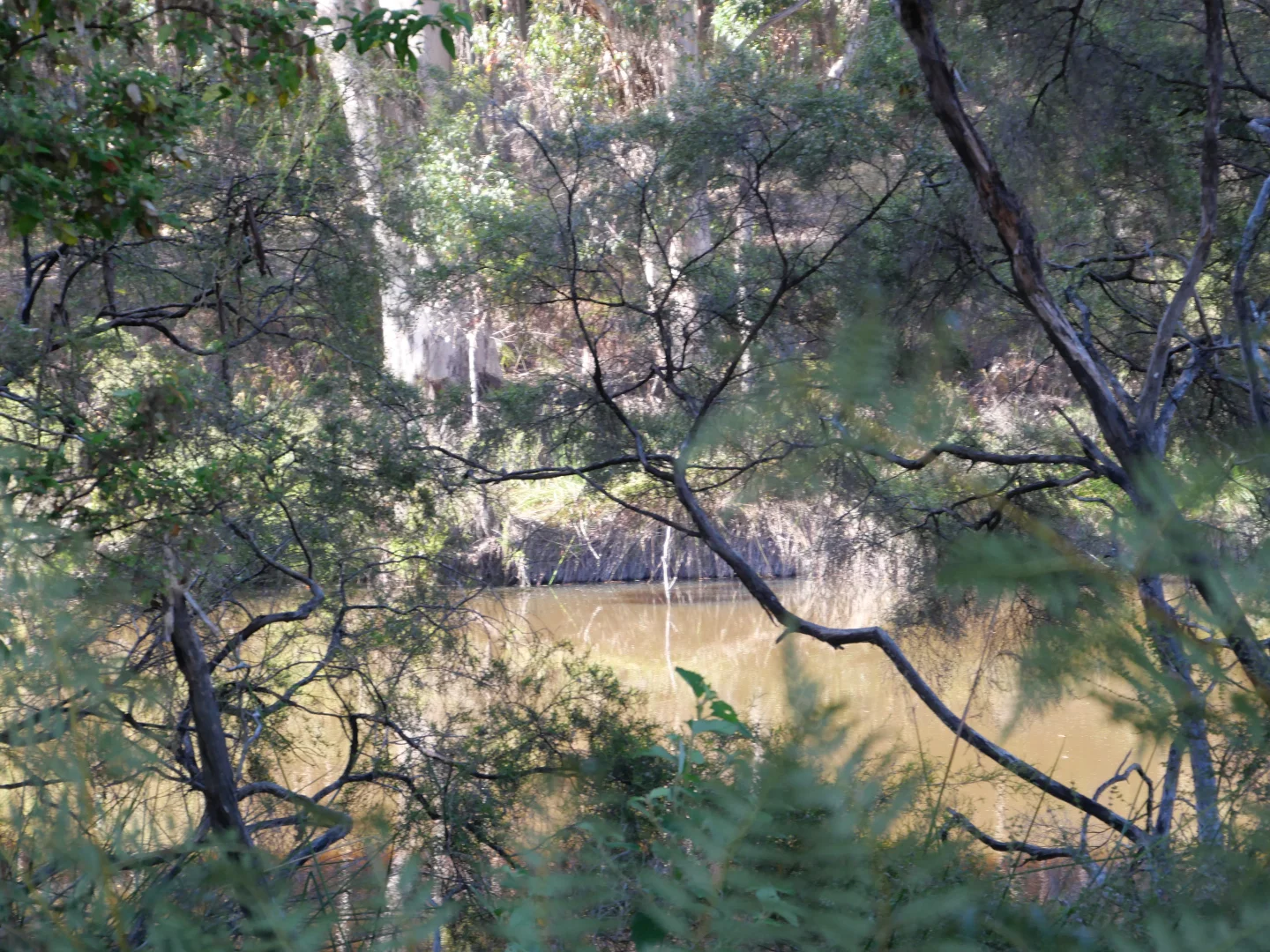 Additional image 17 of 61 Hayes Road, East Nannup WA 6275