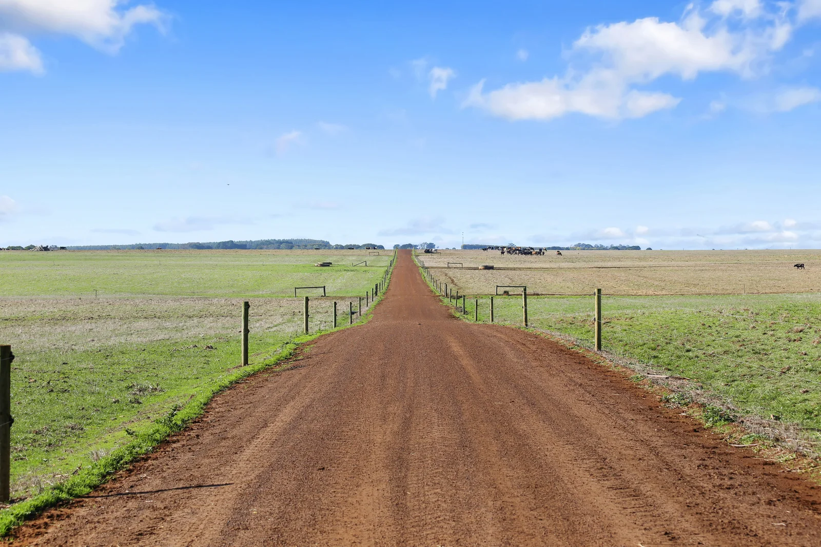 Additional image 46 of 140 Savins Road, Condah VIC 3303