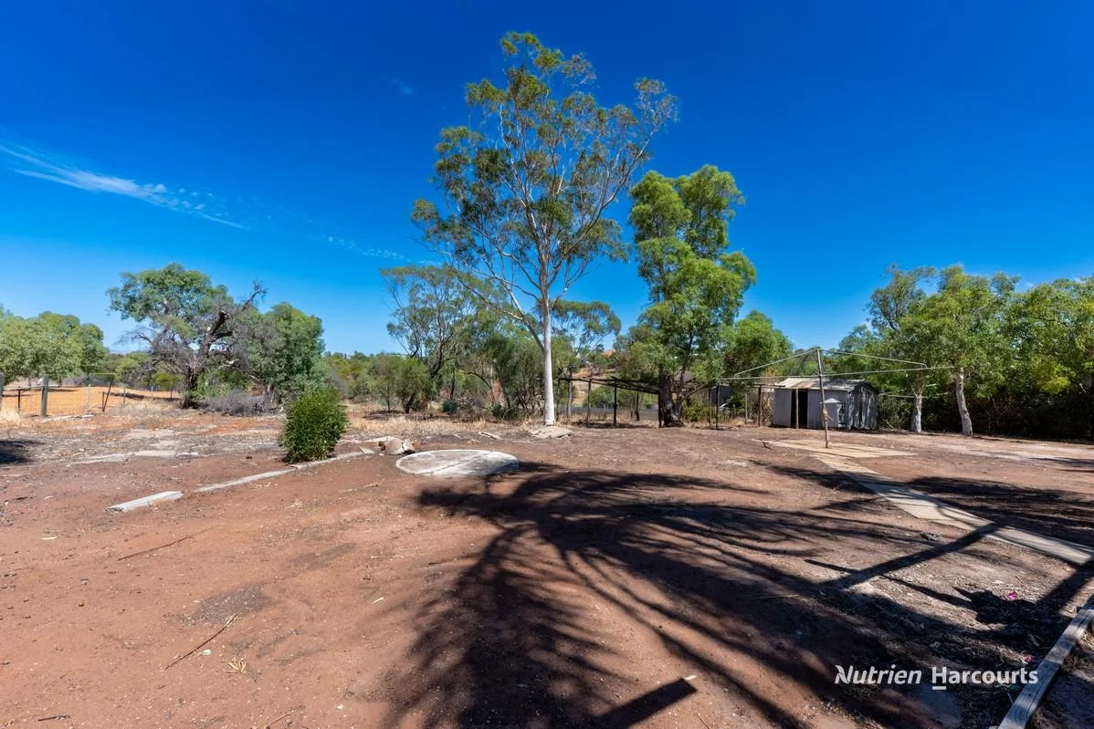 Additional image 18 of 149 Hampton Road, Northampton WA 6535