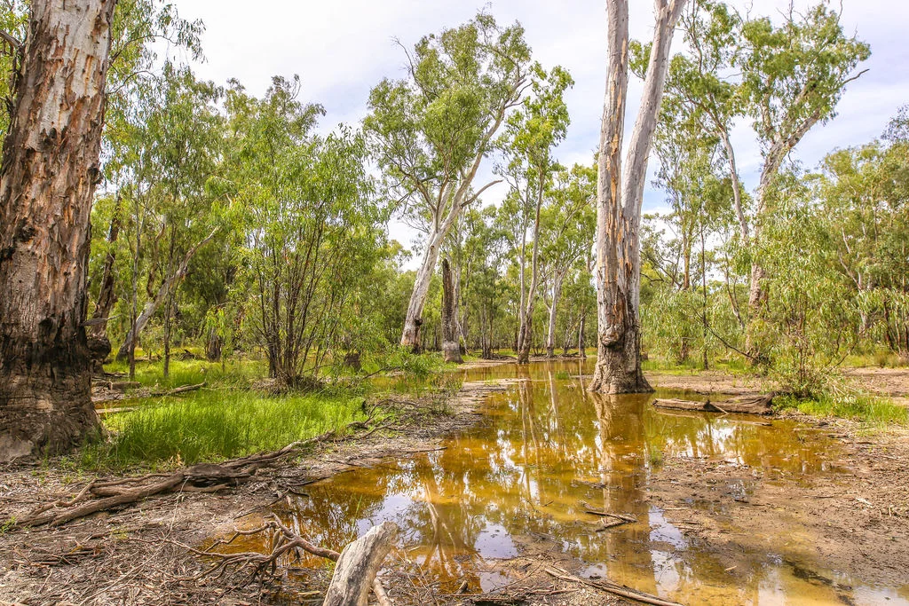 Additional image 14 of Lot 19, 20, 23 & 24 - 650 Yarraman Road, Moama NSW 2731