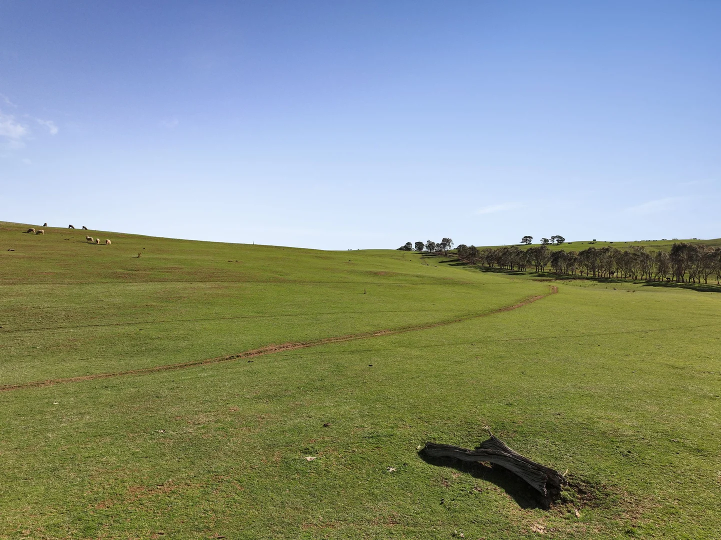 Additional image 10 of Lot 1, 214 Hearns Road, Boorolite VIC 3723