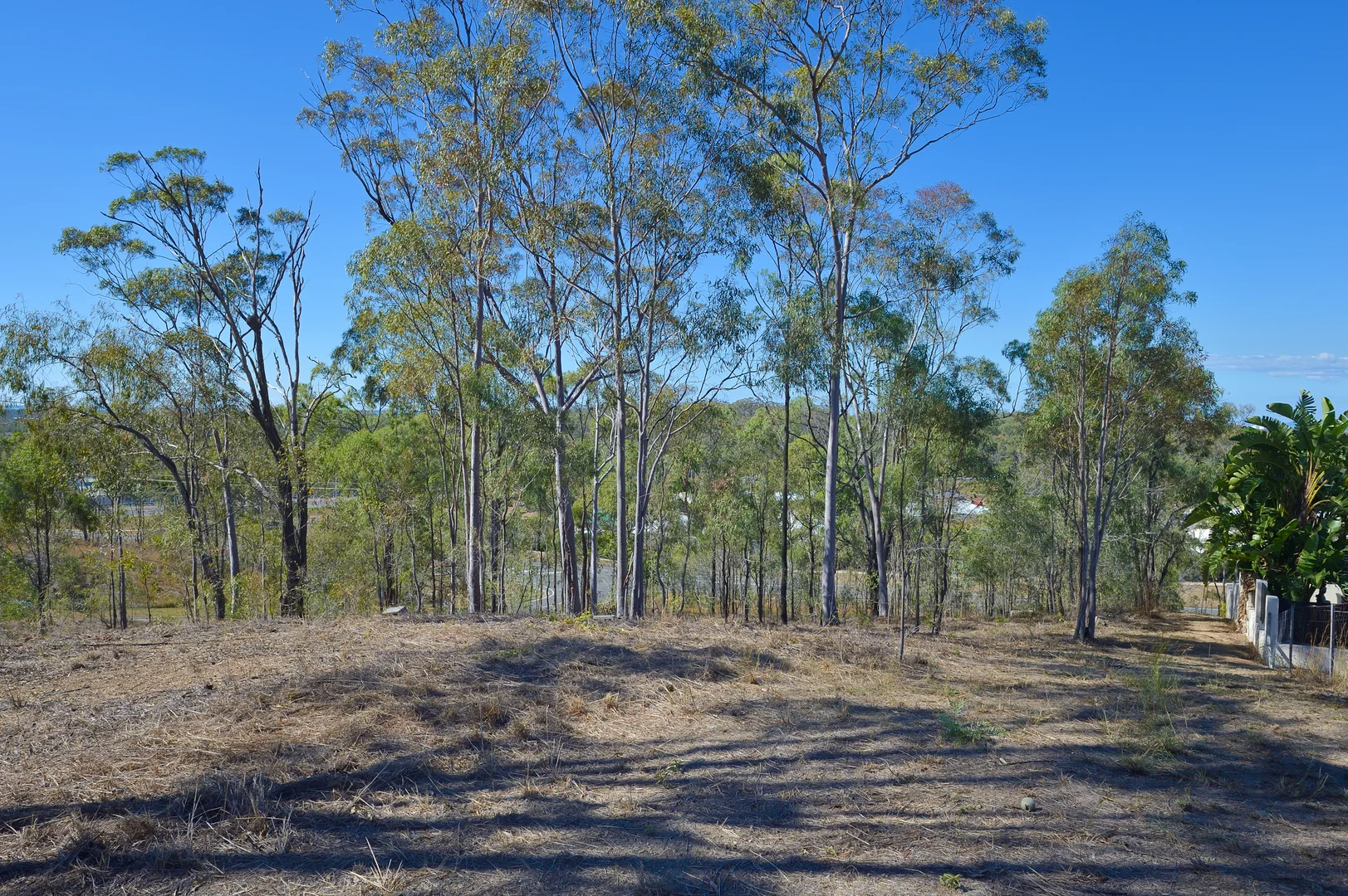 Additional image 4 of 3 Tree Tops Close, O'Connell QLD 4680