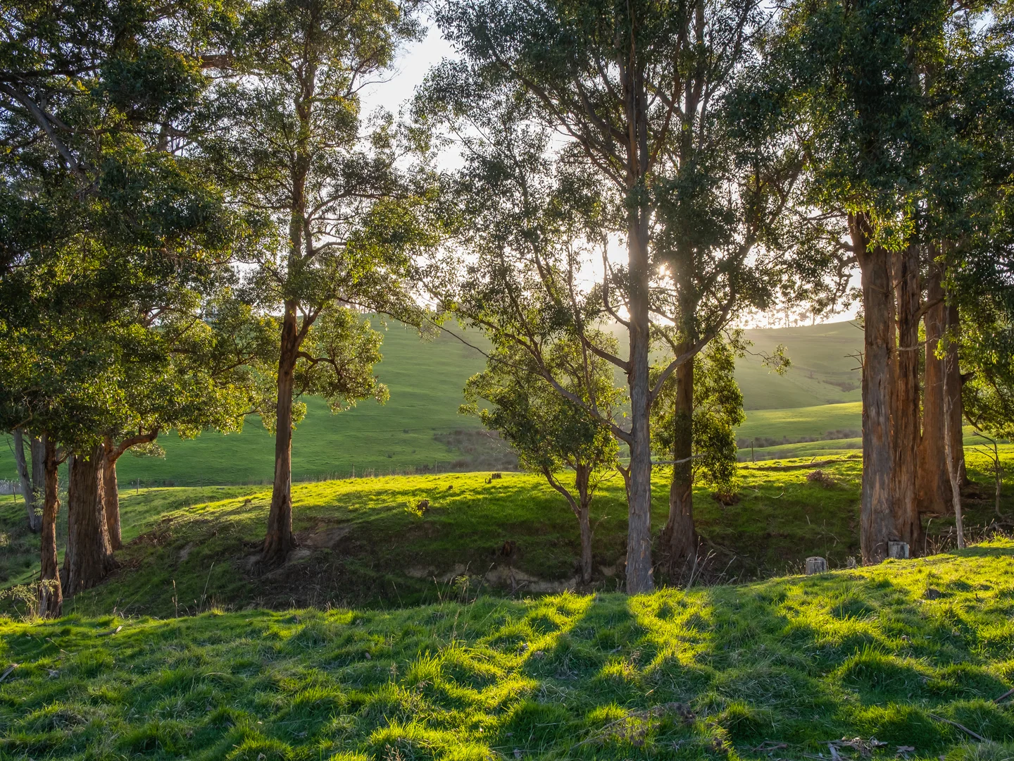 Additional image 9 of Lot 1 Winns Road, Cygnet TAS 7112