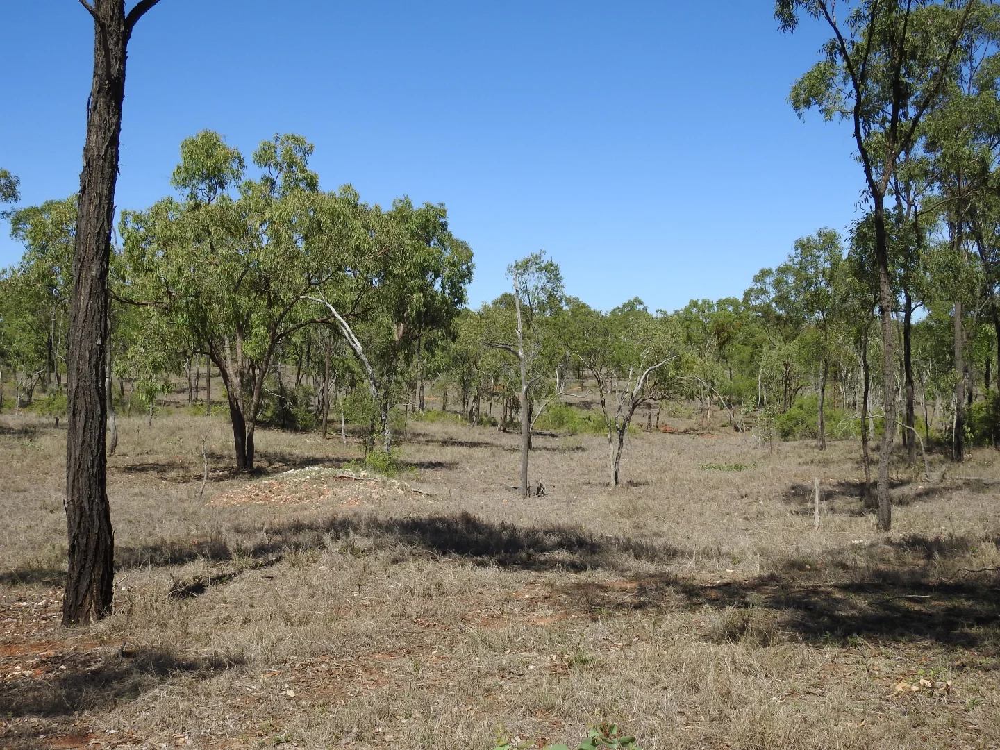 Additional image 18 of Broughton QLD 4820