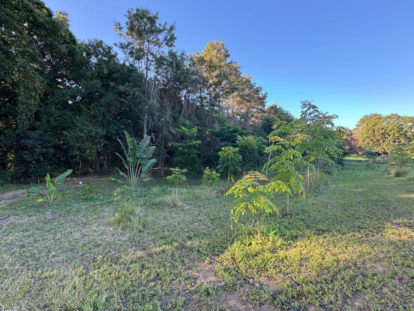 Additional image 15 of 25 Flaggy Rock Road, Clairview QLD 4741